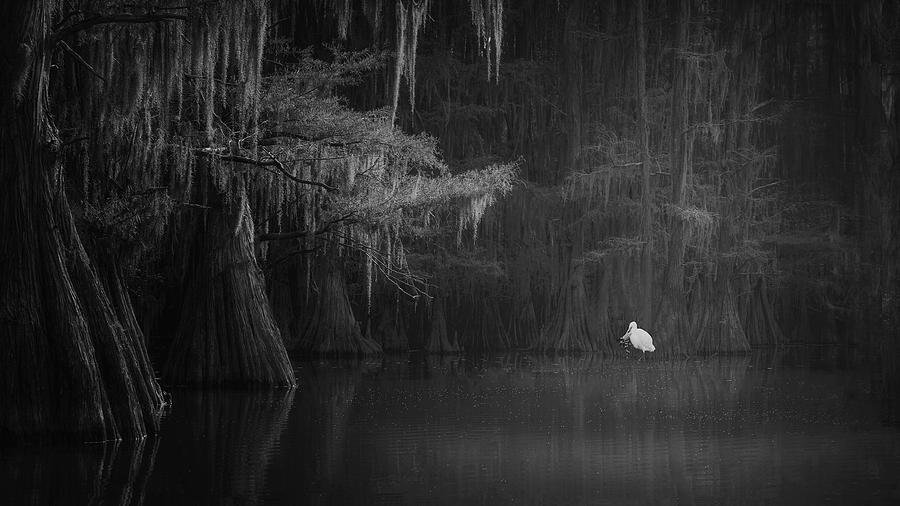 The Morning Time At Caddle Lake Photograph by Dennis Zhang