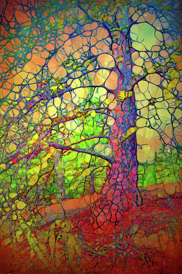 The Multilayered Wisdom of Trees Digital Art by Tara Turner