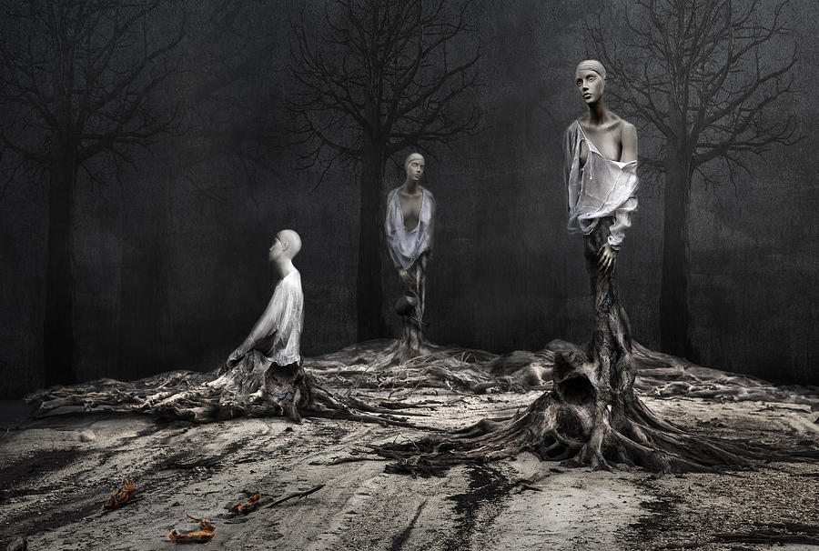 Tree Photograph - The Murdered Forest by Martine Benezech