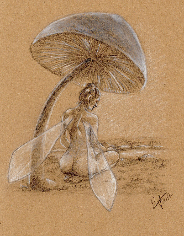 The mushroom Drawing by Raffaello Saverio Padelletti