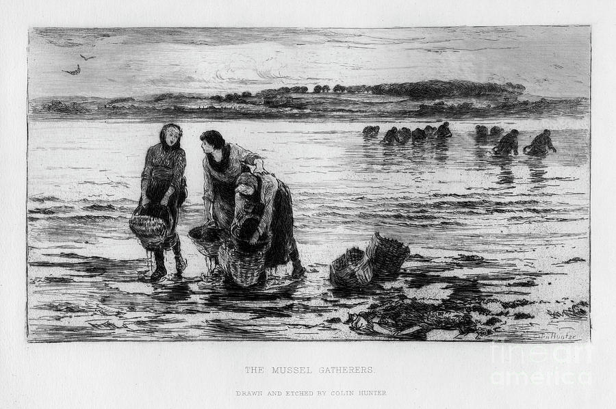 The Mussel Gatherers, C1890.artist Drawing by Print Collector