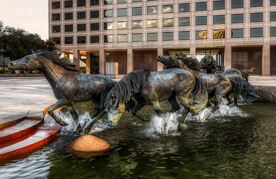 The Mustangs Of Los Colinas Photograph by Mountain Dreams - Fine Art ...