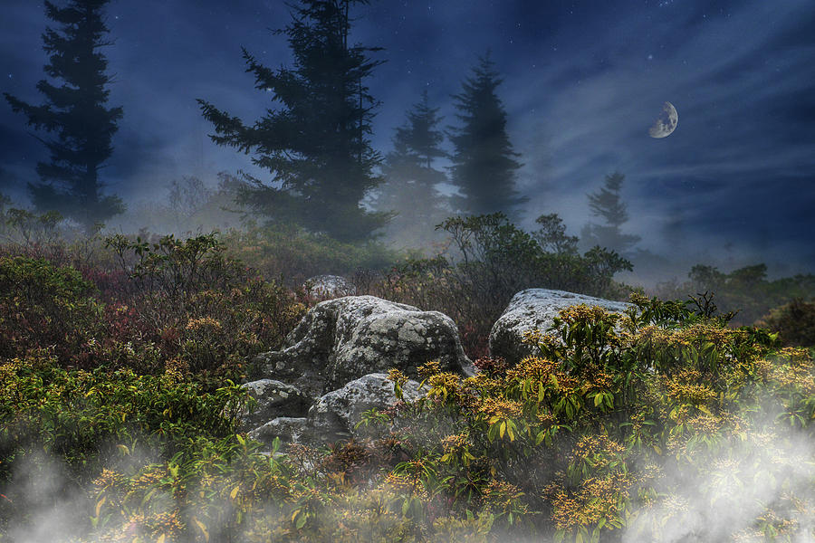 The Mystical Nightfall Photograph by Lisa Lambert-Shank