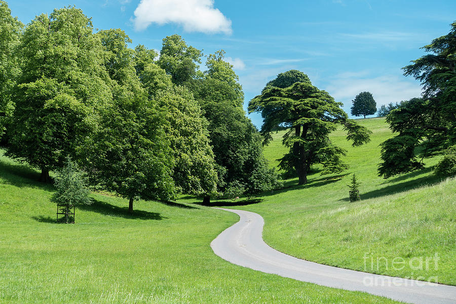 the-narrow-winding-road-photograph-by-keith-douglas-fine-art-america