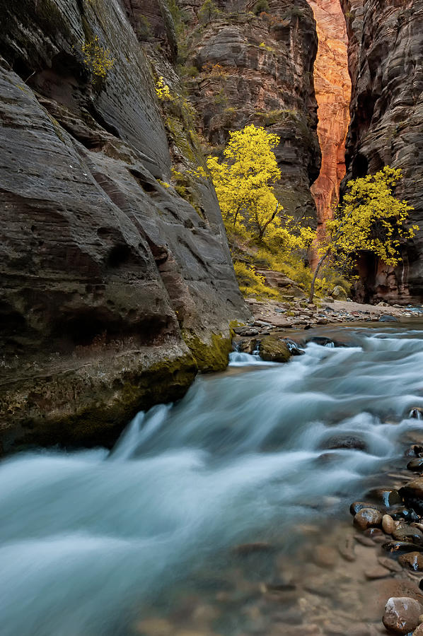 The Narrows Bounce Light and Yellow Aspens Photograph by Tibor Vari ...