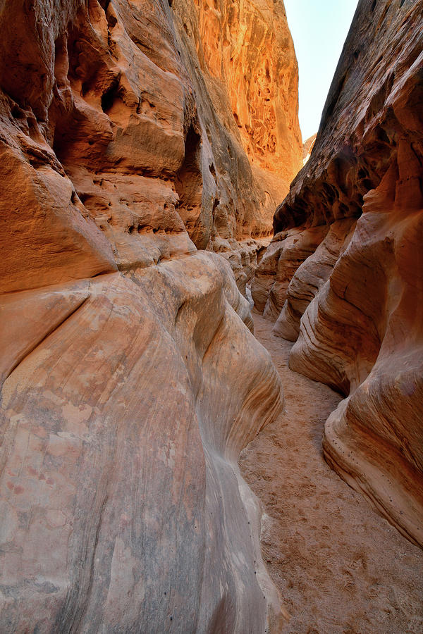 The Narrows of Little wild Horse Canyon Photograph by Ray Mathis