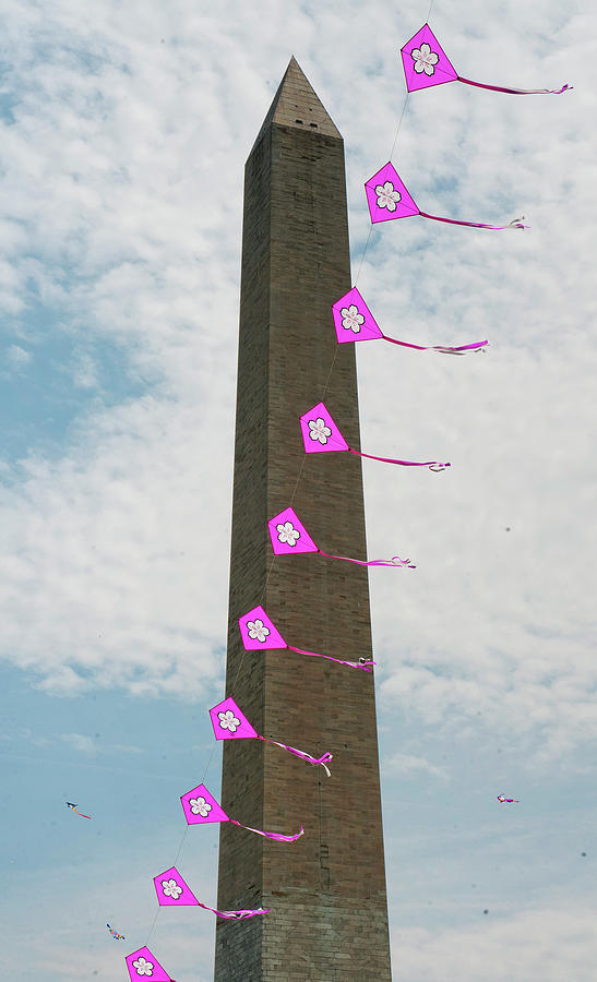 The National Cherry Blossom Kite Photograph by The Washington Post