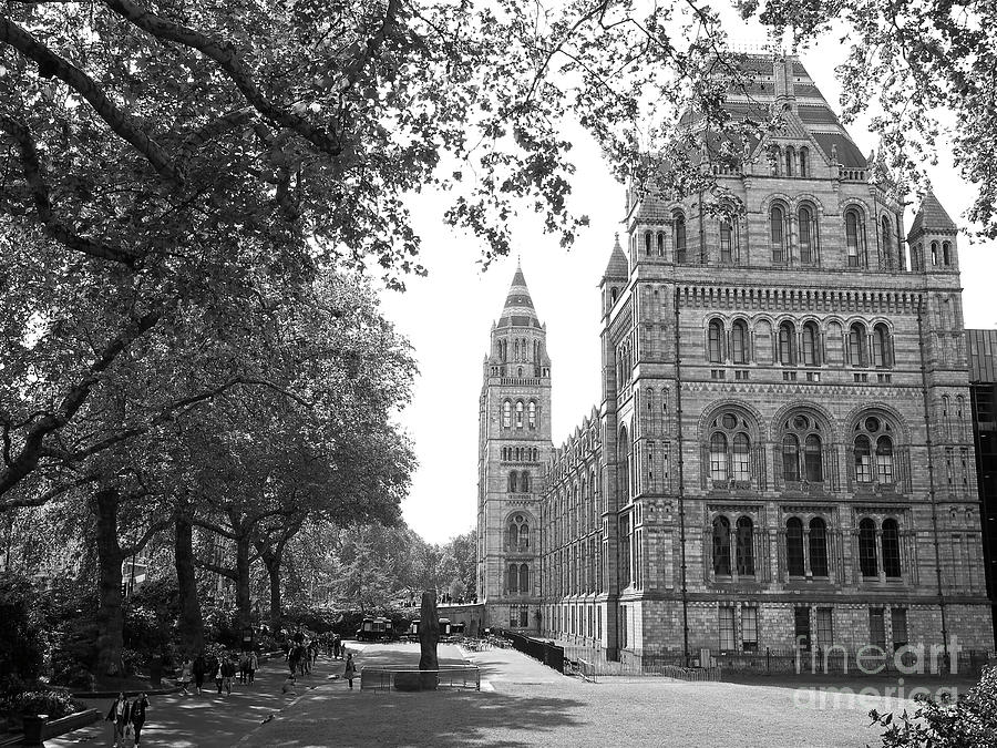 The Natural History Museum Photograph