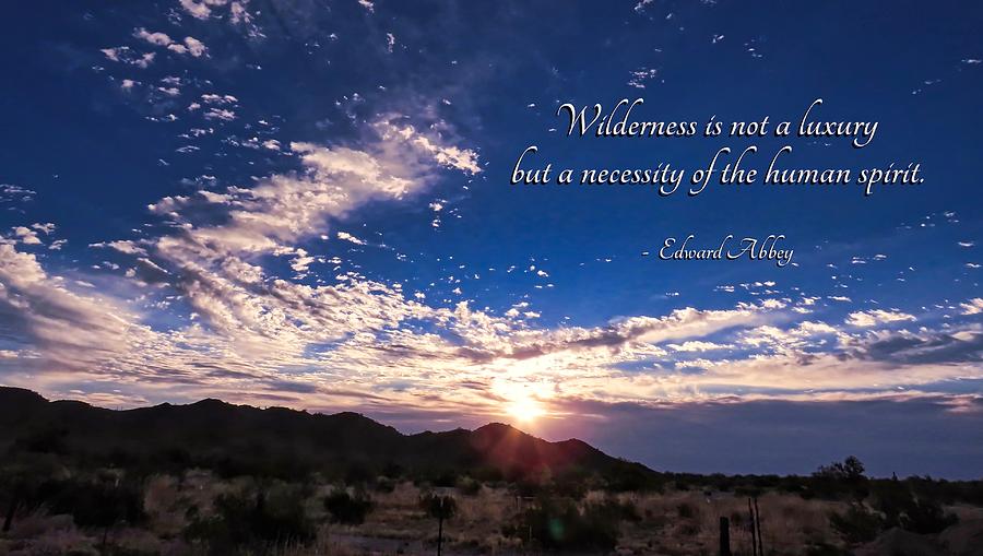 The Necessity of Wilderness Photograph by Judy Kennedy