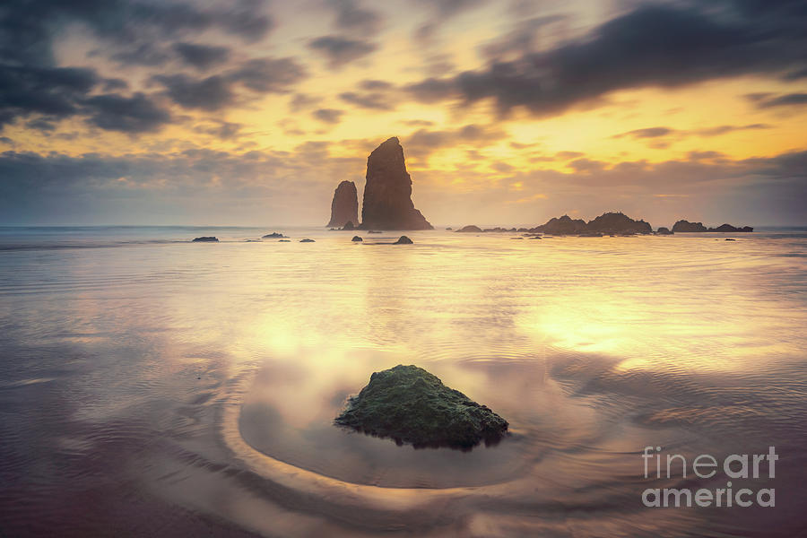 The Needles by Carrie Cole The Needles by Carrie Cole