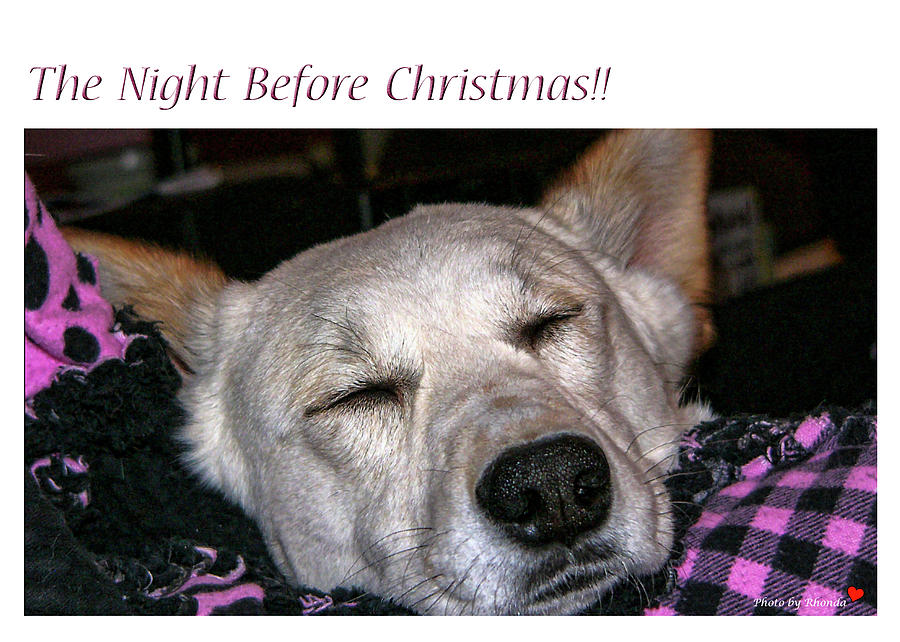The Night Before Christmas Photograph by Rhonda McDougall