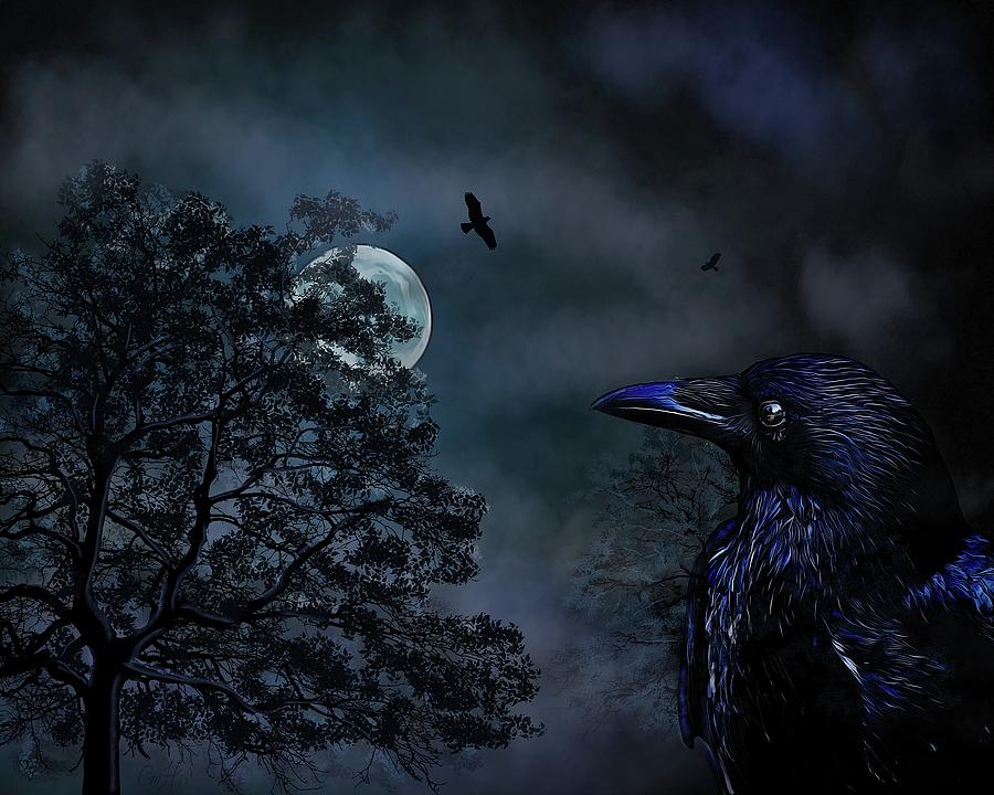 Crow Painting - The Night Crow Sees by Christina M Hale Crow Painting - The Night Crow Sees by Christina M Hale