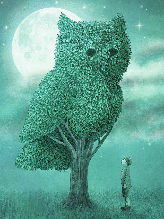 Owl Drawing - The Night Gardener by Eric Fan