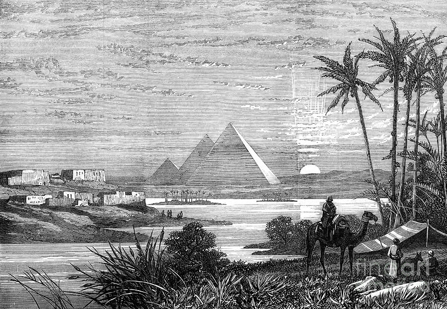 The Nile And The Pyramids Drawing by Print Collector