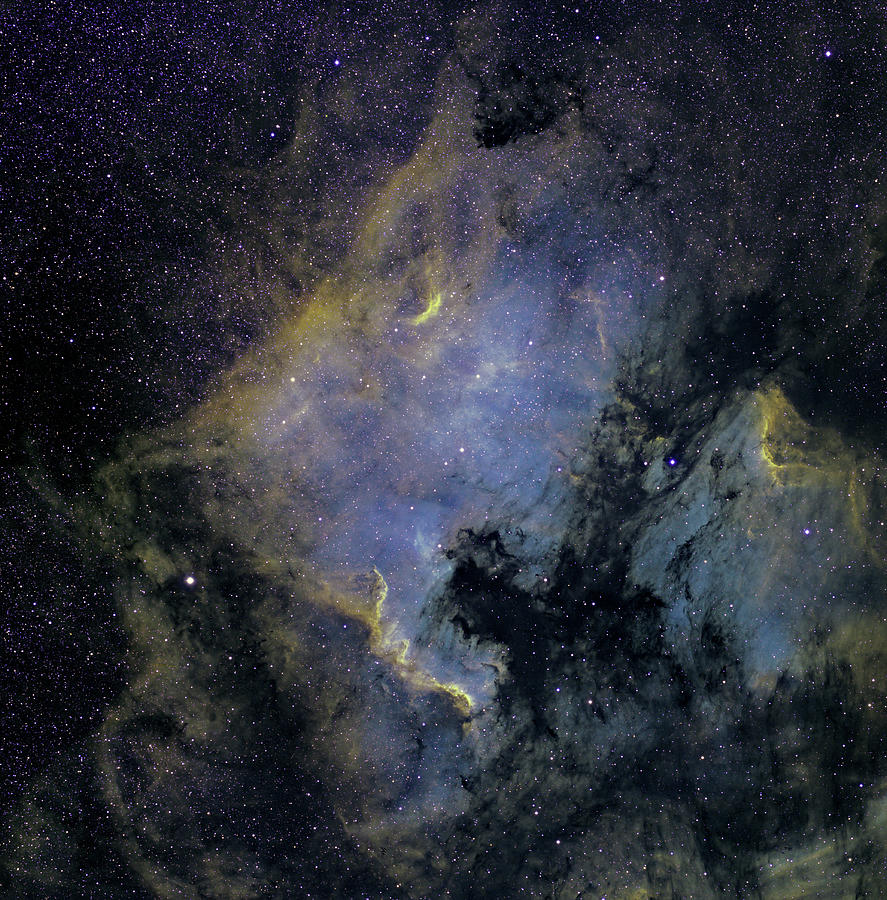 The North America Nebula And The Photograph by Stocktrek Images