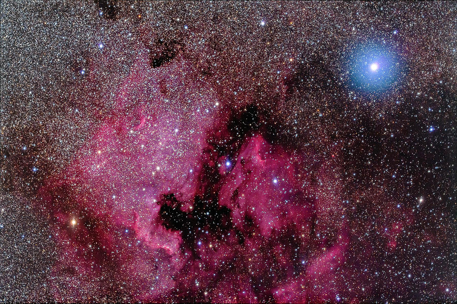 The North America Nebula Near Teh Photograph by Alan Dyer