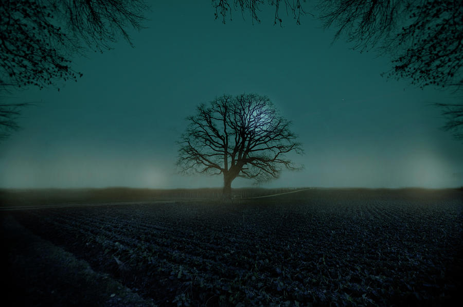 The Oaks Moonlight Photograph by Noémie Assir Photography