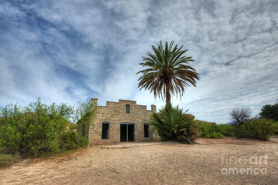Palm Photograph - The Oasis by Joe Sparks Palm Photograph - The Oasis by Joe Sparks