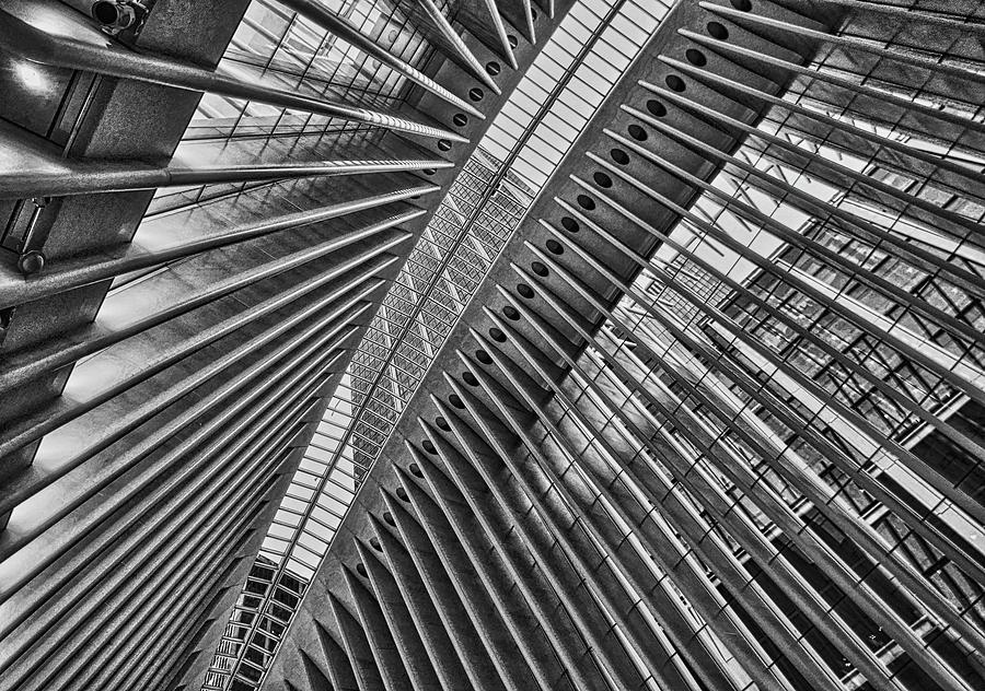 The Oculus Photograph by Joan Reese