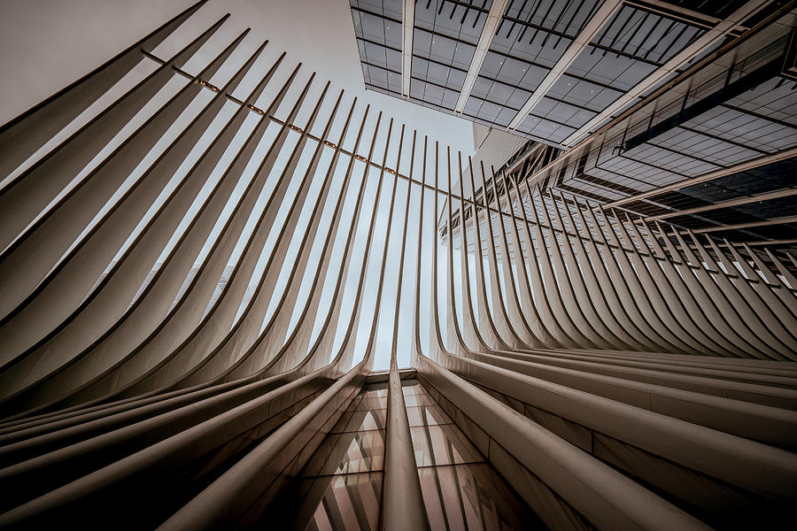 New York City Photograph - The Oculus by Noa Nick