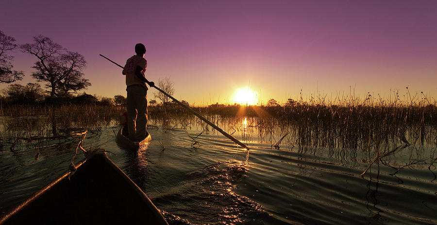 The Okavango Delta Photograph by Mb Photography
