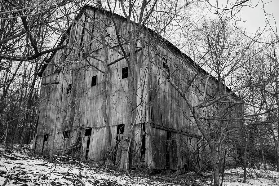 The Old Barn Bw Photograph