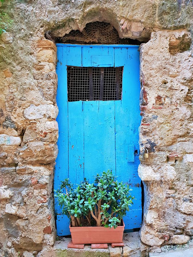 The Old Blue Door Photograph by Andrea Whitaker - Fine Art America