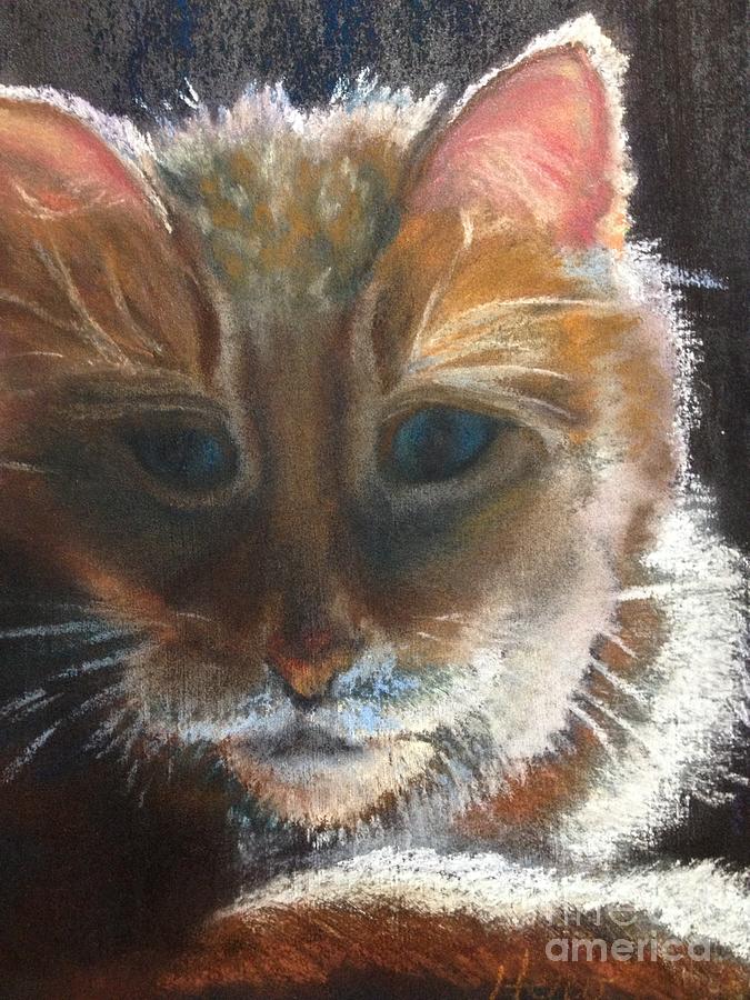 The Old Cat by Marcia Hero The Old Cat by Marcia Hero