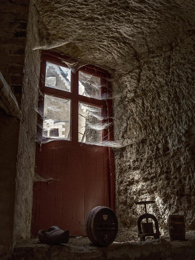 The Old French Door Photograph By Mark Playle