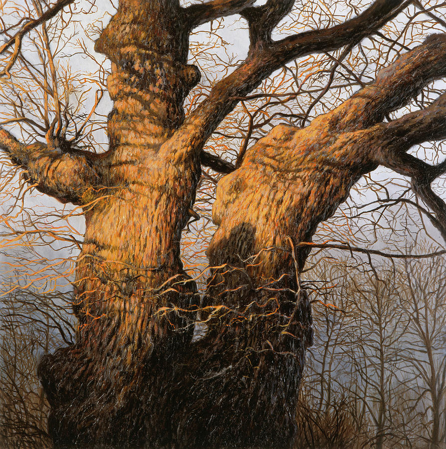 The Old Oak Painting by Hans Egil Saele