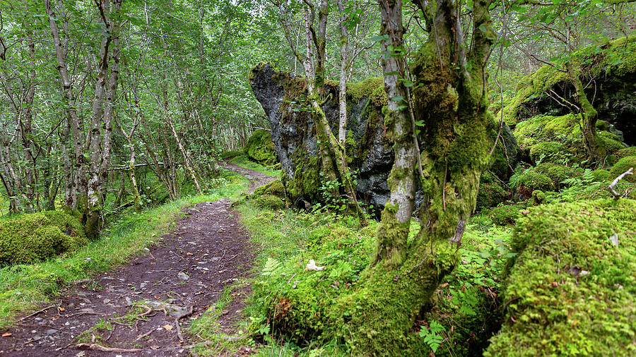 the old royal postal route in Norway by Andreas Levi the old royal postal route in Norway by Andreas Levi