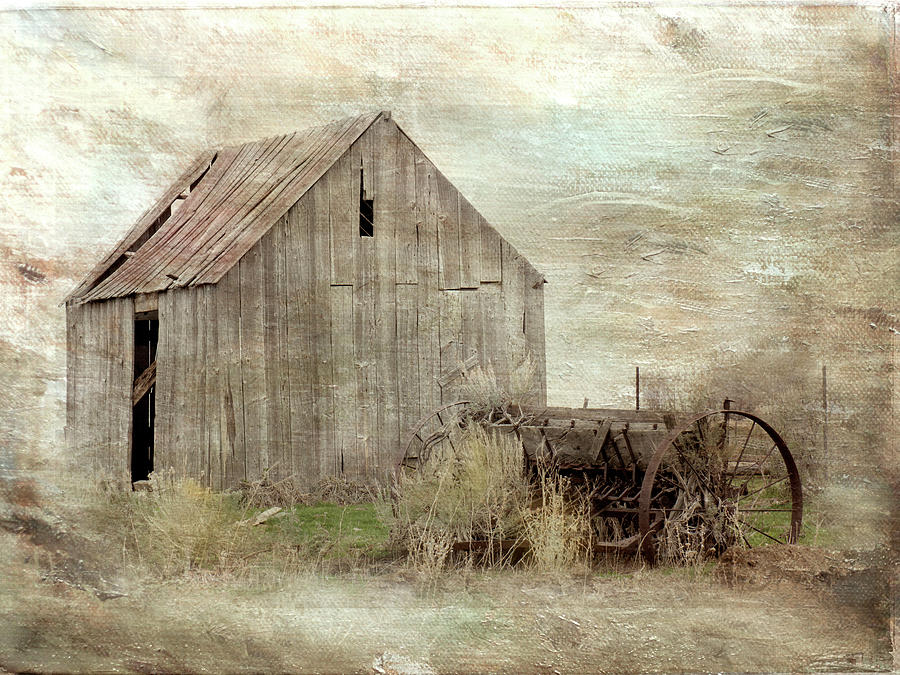 The Old Shed by Ramona Murdock The Old Shed by Ramona Murdock