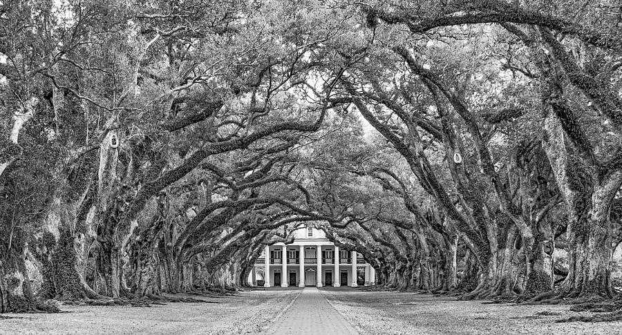 The Old South Version 3 bw Photograph by Steve Harrington