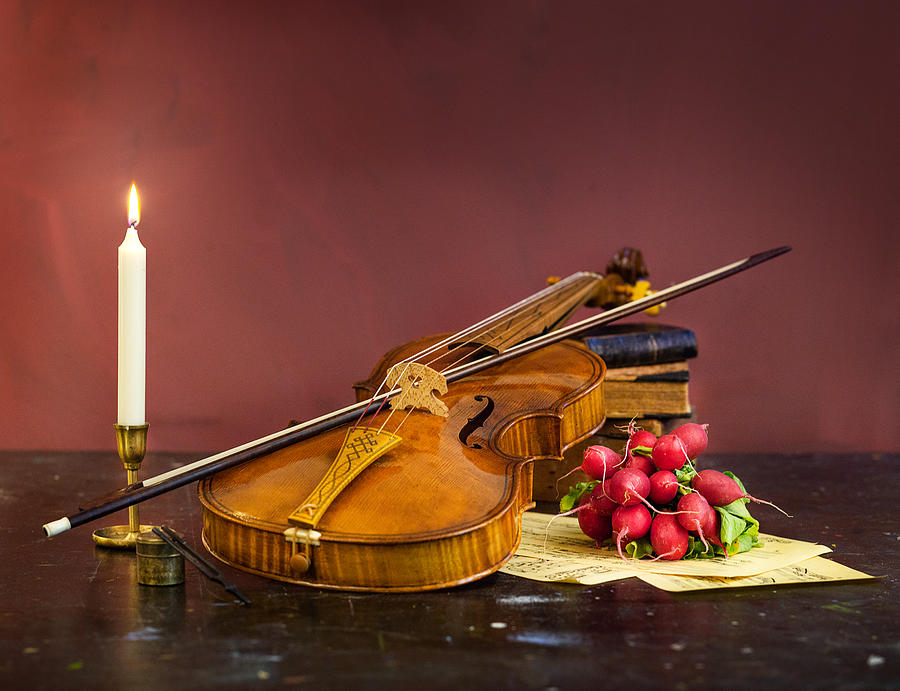 The Old Violin Photograph by Michael Allmaier | Fine Art America