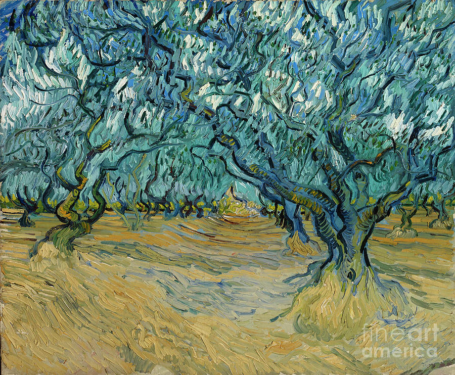 The Olive Grove Drawing by Heritage Images