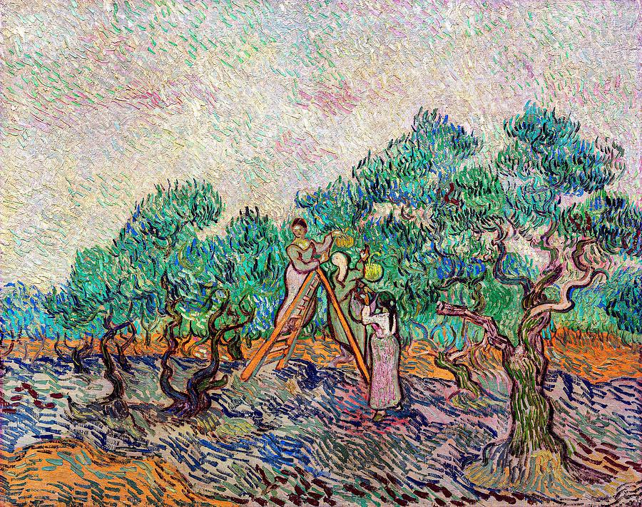 Vincent Van Gogh Photograph - The Olive Orchard 1889 By Vincent Van by Dec925