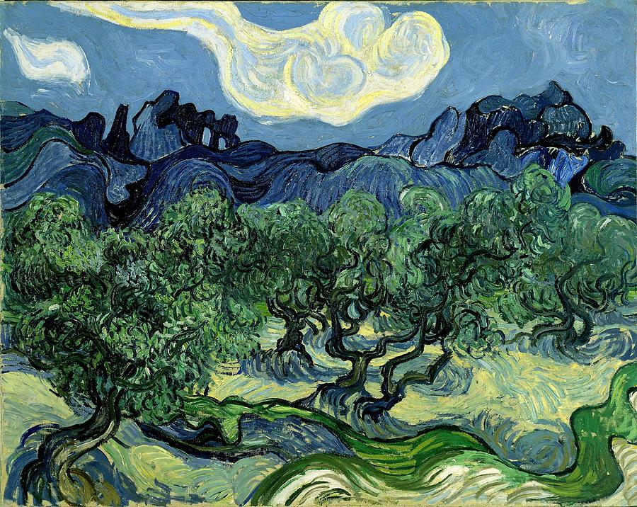 Vincent Van Gogh Photograph - The Olive Trees, 1889 - Painting by Antiquarian Images