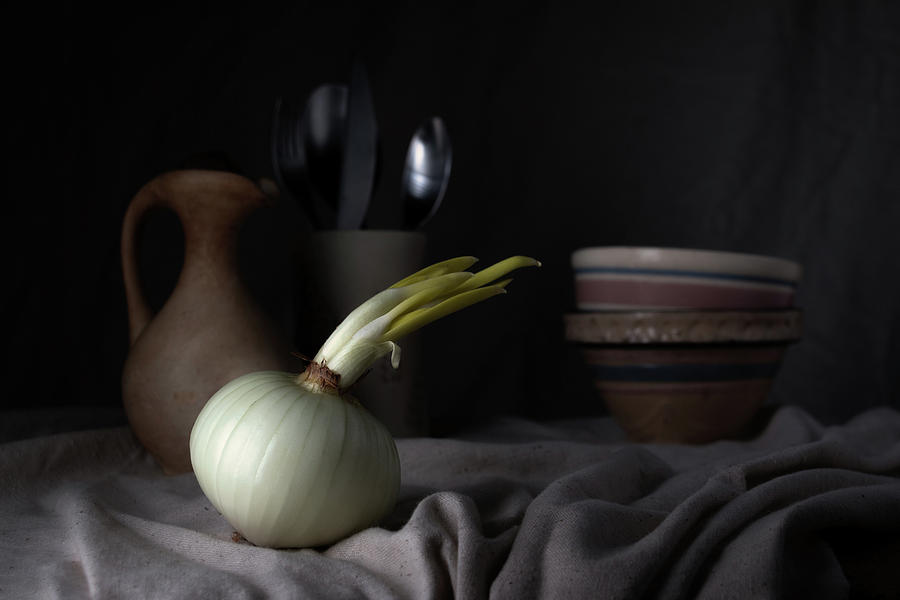 Onion Photograph - The Onion by Tom Mc Nemar