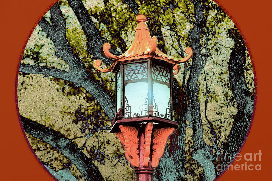 The Oriental Lantern Photograph
