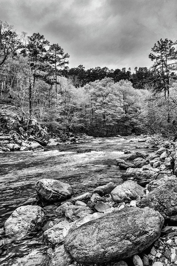 The Ouachita River Black and White Photograph by Kyle Findley