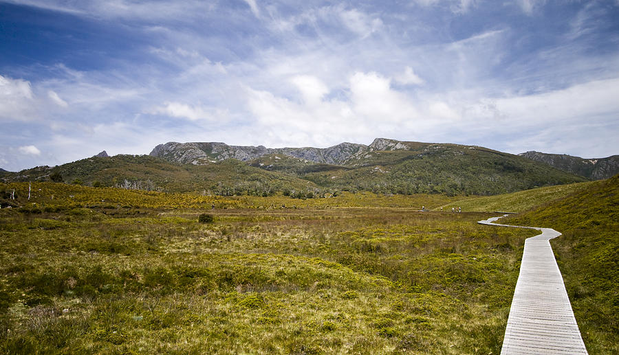 The Overland Track Photograph by Samvaltenbergs