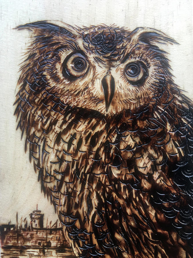 Owl Pyrography - The Owl by Franco Puliti