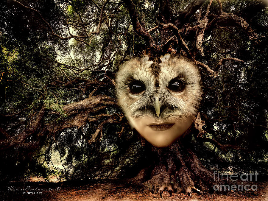 The Owl Tree Photograph by Kira Bodensted