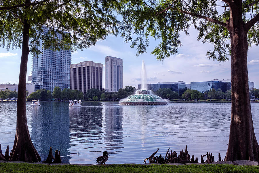 The Paddleboats And Fountain At Lake Eola by John McLenaghan The Paddleboats And Fountain At Lake Eola by John McLenaghan