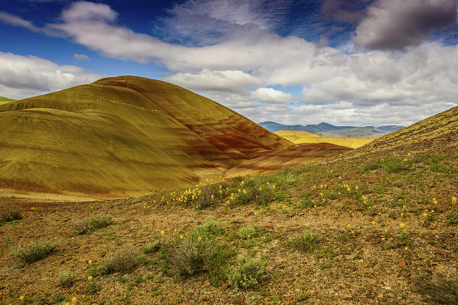 The Painted Hill Photograph by Jerry Cahill