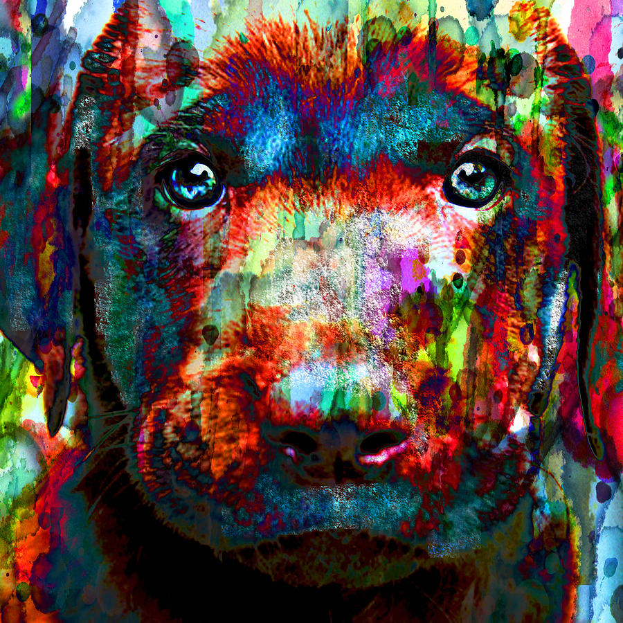 The Painted Puppy HUGE 48x48 CANVAS OR PAPER Painting by Robert R Splashy Art Abstract Paintings