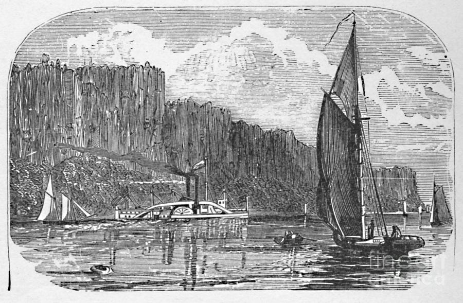 The Palisades Drawing by Print Collector