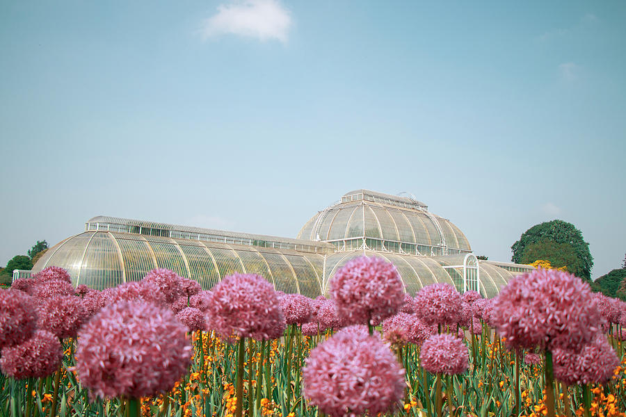 The palm house by Gabor Estefan The palm house by Gabor Estefan