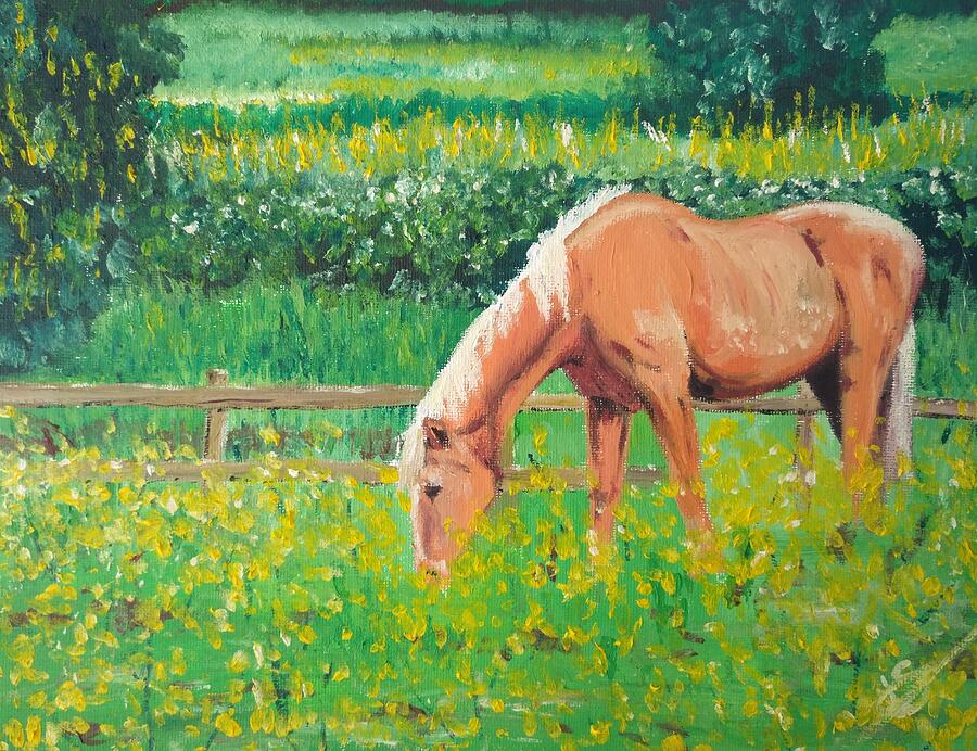 Summer Painting - The Palomino and Buttercup Meadow by Abbie Shores
