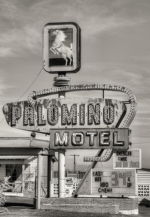 The Palomino Black and White Photograph by JC Findley